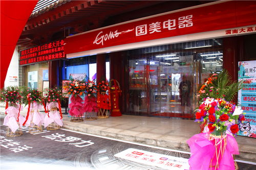 渭南大荔 七夕国美电器大荔店开业 给大荔县老百姓一场价格盛宴