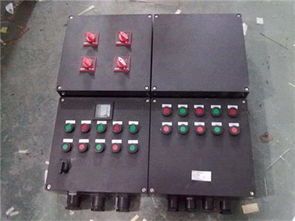 非标定做防爆防腐配电箱